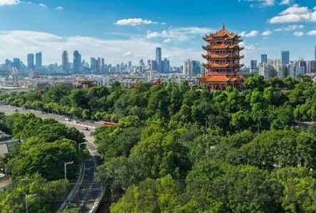 74年世界杯巴西赛程-巴西在1974年世界杯的征程，从预选赛到小组赛